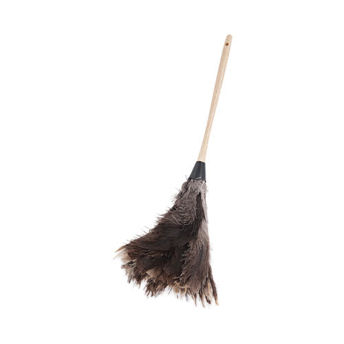 Professional Ostrich Feather Duster, 13" Handle