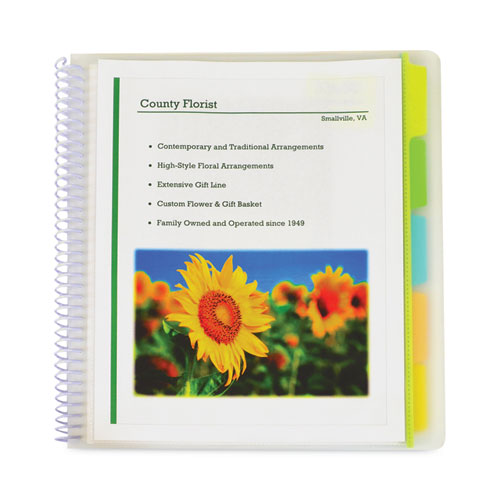 10-pocket Poly Portfolio With Write-on Tabs, 8.5 X 11, Clear/clear