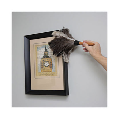 Professional Ostrich Feather Duster, 7" Handle