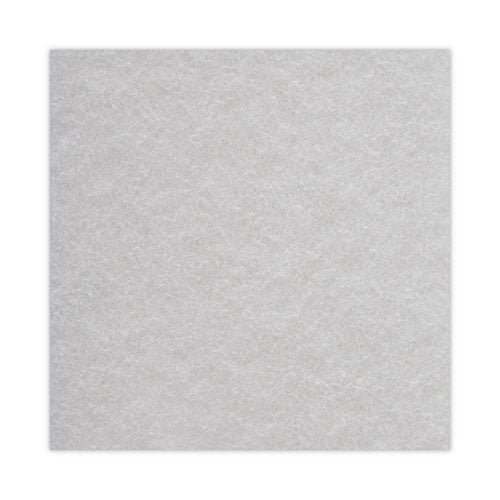 Light Duty Scour Pad, White, 6 X 9, White, 20/carton