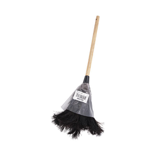 Professional Ostrich Feather Duster, 10" Handle