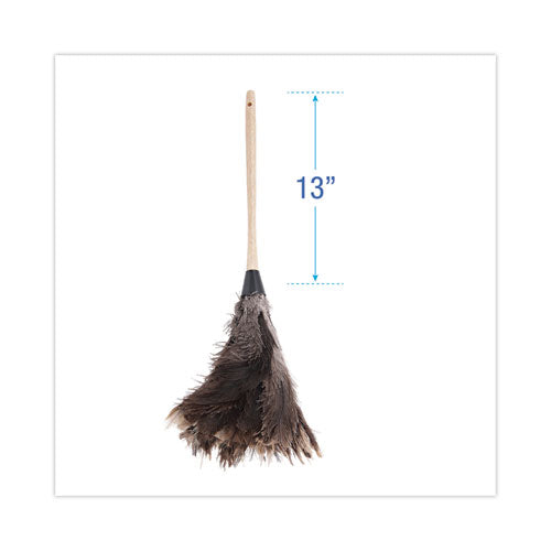 Professional Ostrich Feather Duster, 13" Handle