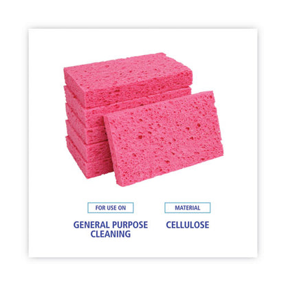 Small Cellulose Sponge, 3.6 X 6.5, 0.9" Thick, Pink, 2/pack, 24 Packs/carton