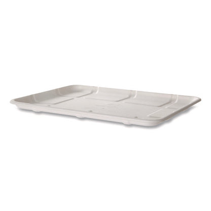 204292839.jpg