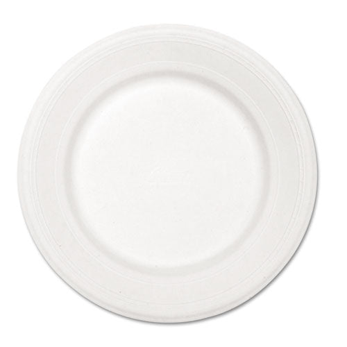 Paper Dinnerware, Plate, 10 1/2" Dia, White, 500/carton